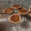 Tree Trunk Table