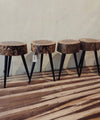 Wooden Tree Trunk Side Tables