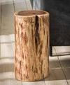 Acacia Tree Trunk Side Table