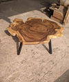 Exquisite Tree Trunk Center Table