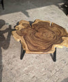 Exquisite Tree Trunk Center Table