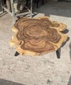 Exquisite Tree Trunk Center Table