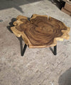 Exquisite Tree Trunk Center Table