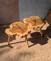 Tree Trunk Coffee Tables