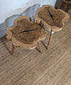 Tree Trunk Coffee Tables