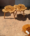 Tree Trunk Coffee Tables