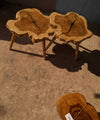 Tree Trunk Coffee Tables