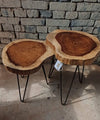 Tree Trunk Table