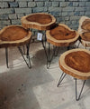 Tree Trunk Table