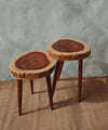 Tree Trunk Table