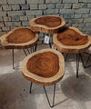 Tree Trunk Table