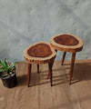 Tree Trunk Table