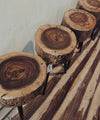 Wooden Tree Trunk Side Tables