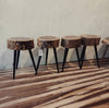 Wooden Tree Trunk Side Tables